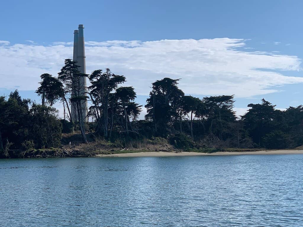 Sea Otter Encounters