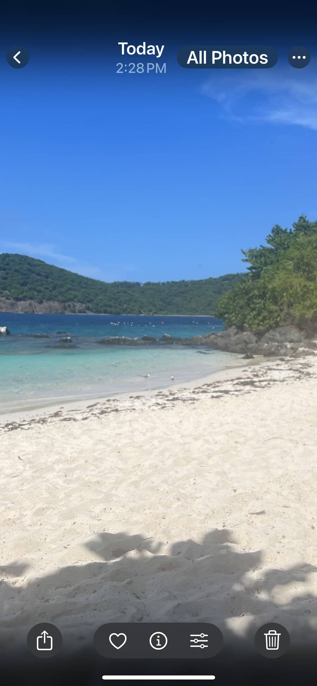 Vibrant Beach Scene