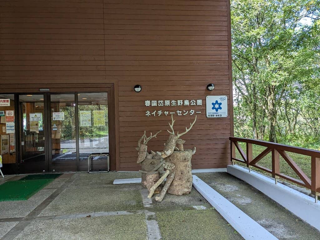 Vertical photo