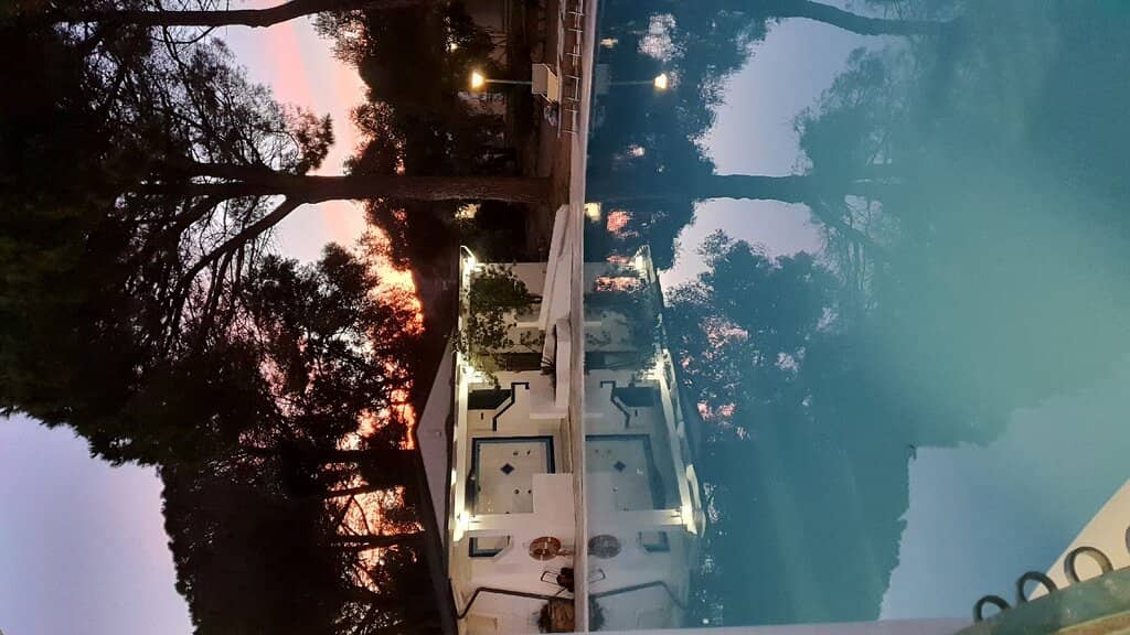 Vertical photo