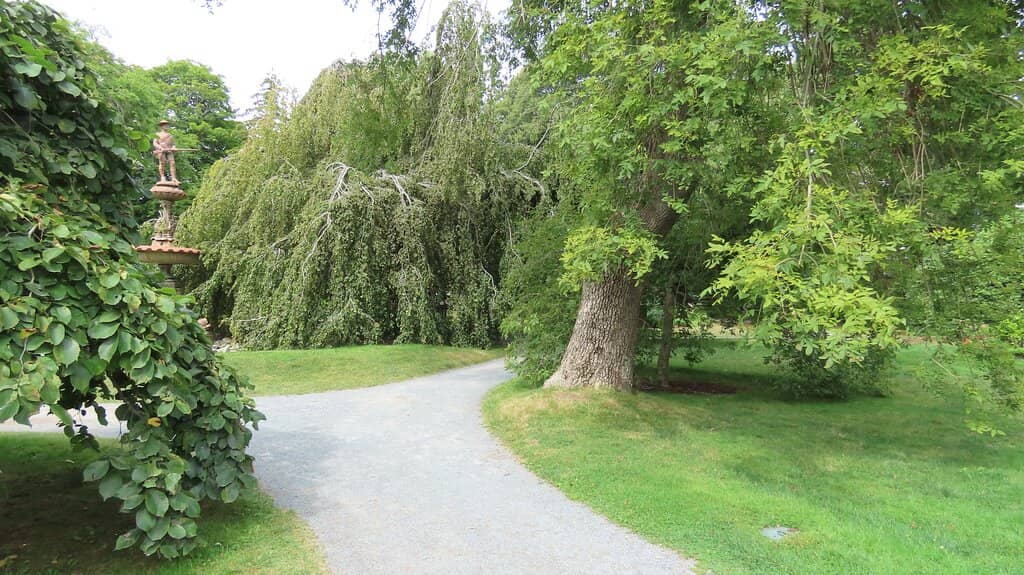 Peaceful Ponds and Water Features