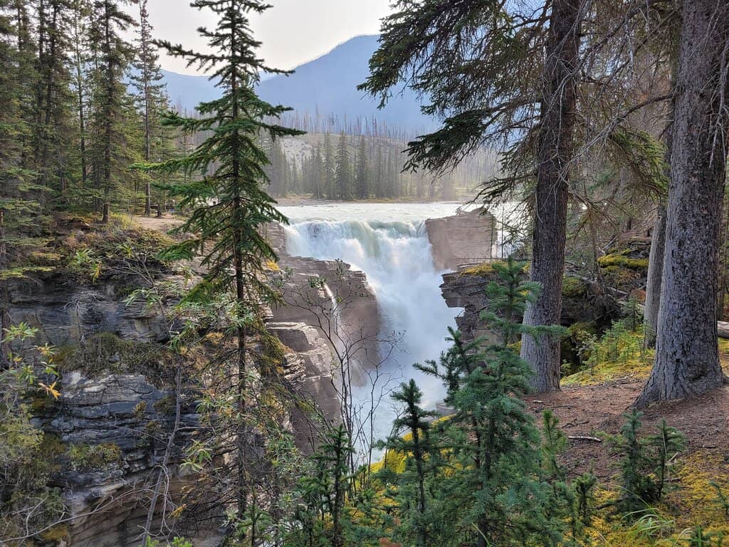 Vertical photo