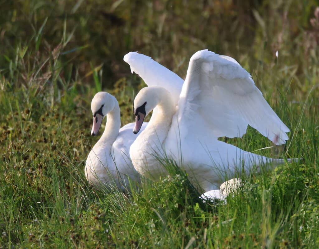 Panoramic Views from Viewing Tower