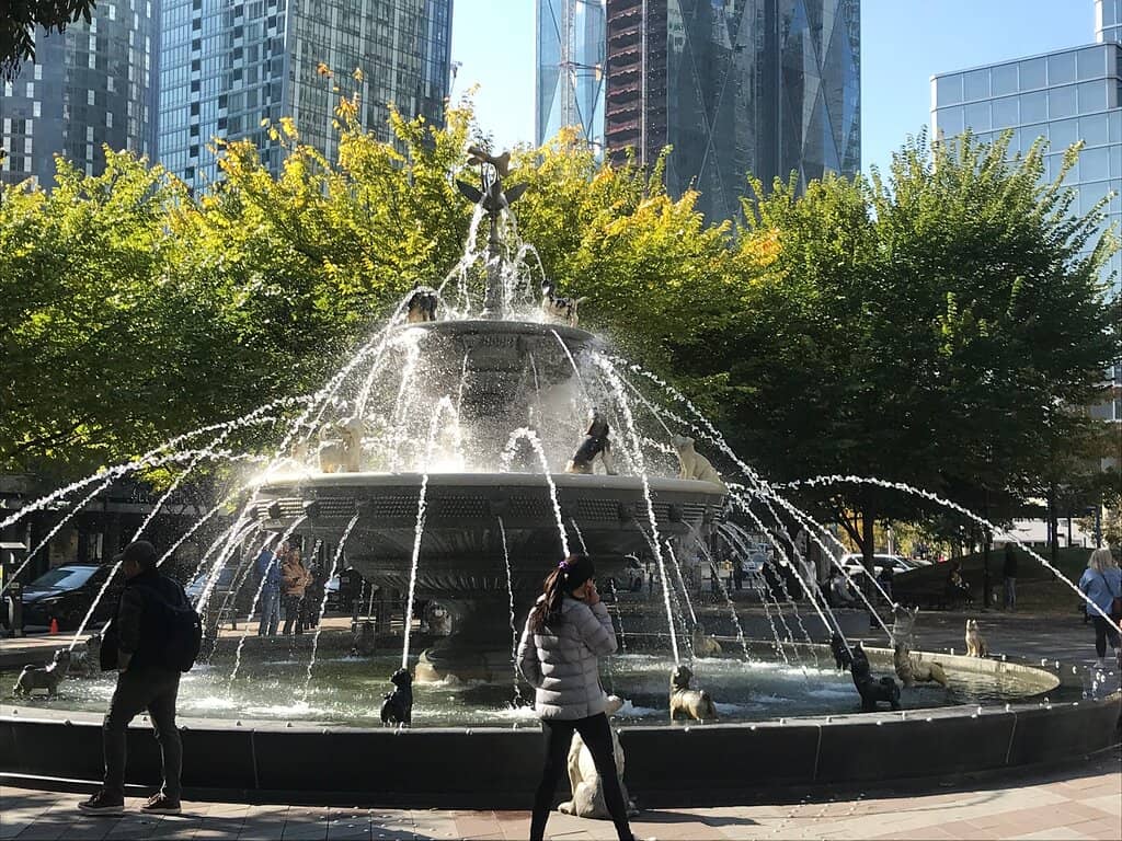 Charming Tree-Lined Paths