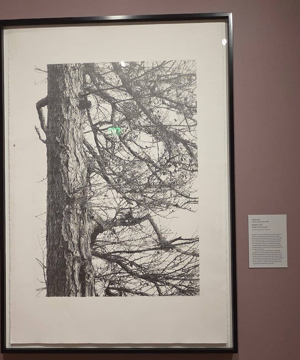 Asian & Middle Eastern Art