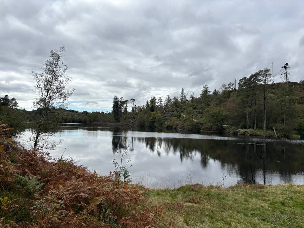 Tarn Hows Circular Walk