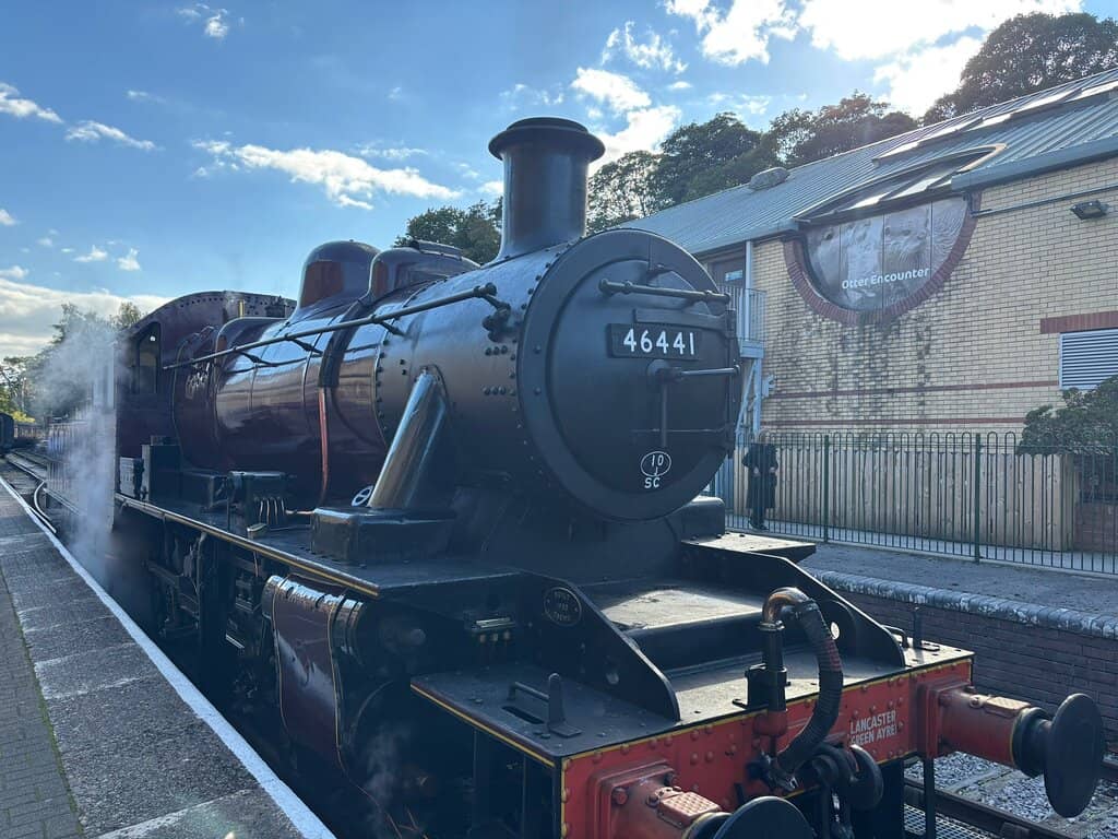 Historic Steam Train Ride