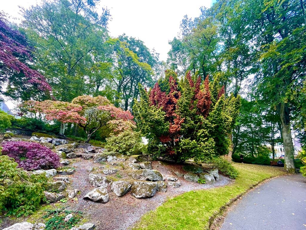 Autumnal Splendor