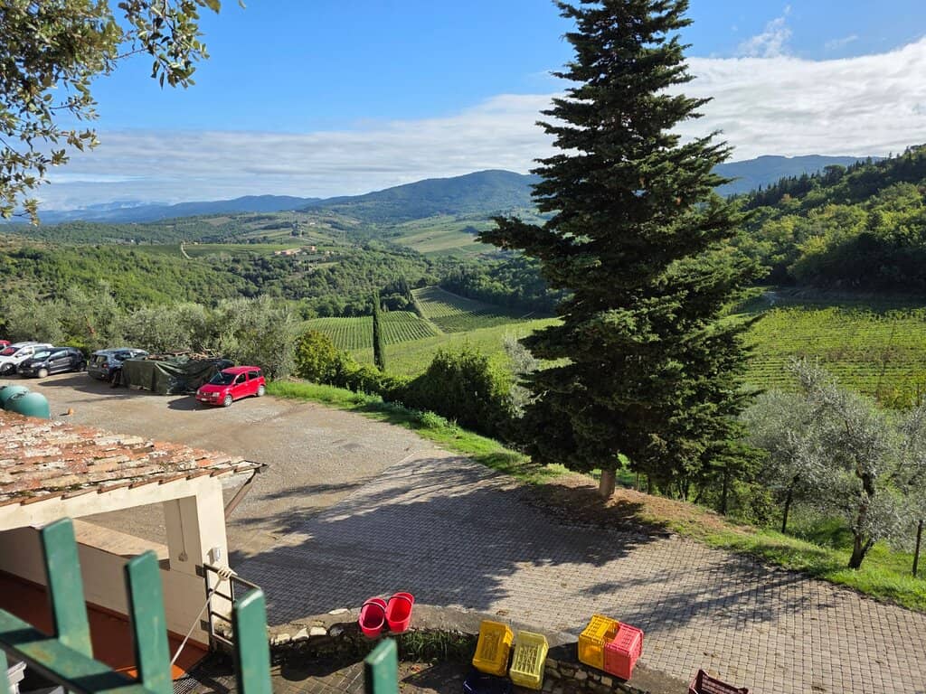 Historic Cellar Tour