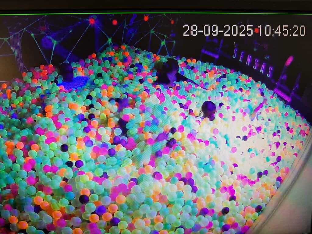 Unique Parisian Experience