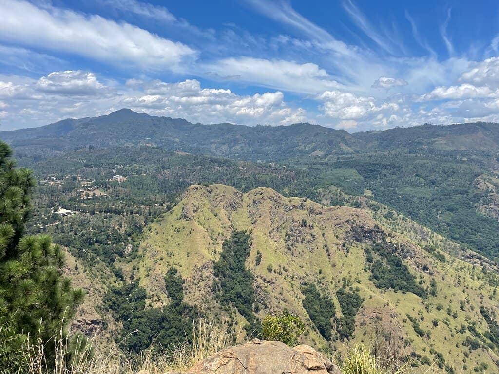 Vertical photo