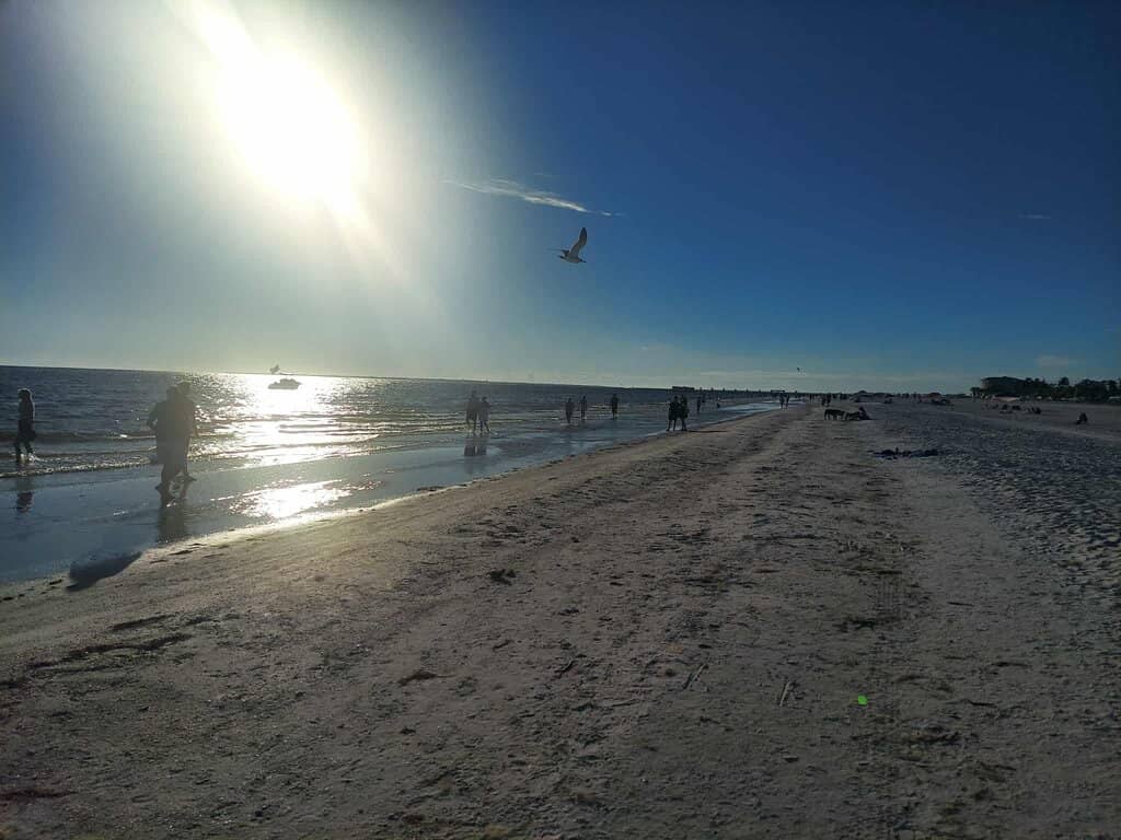 J.N. 'Ding' Darling National Wildlife Refuge