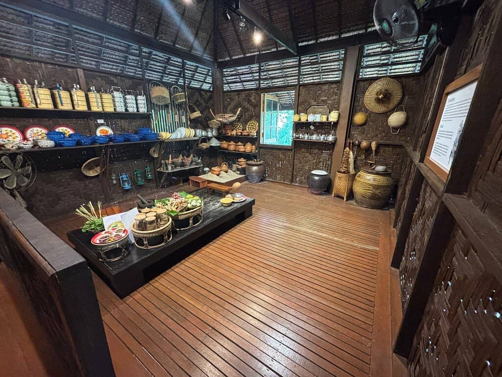 Scenic Rice Field Views