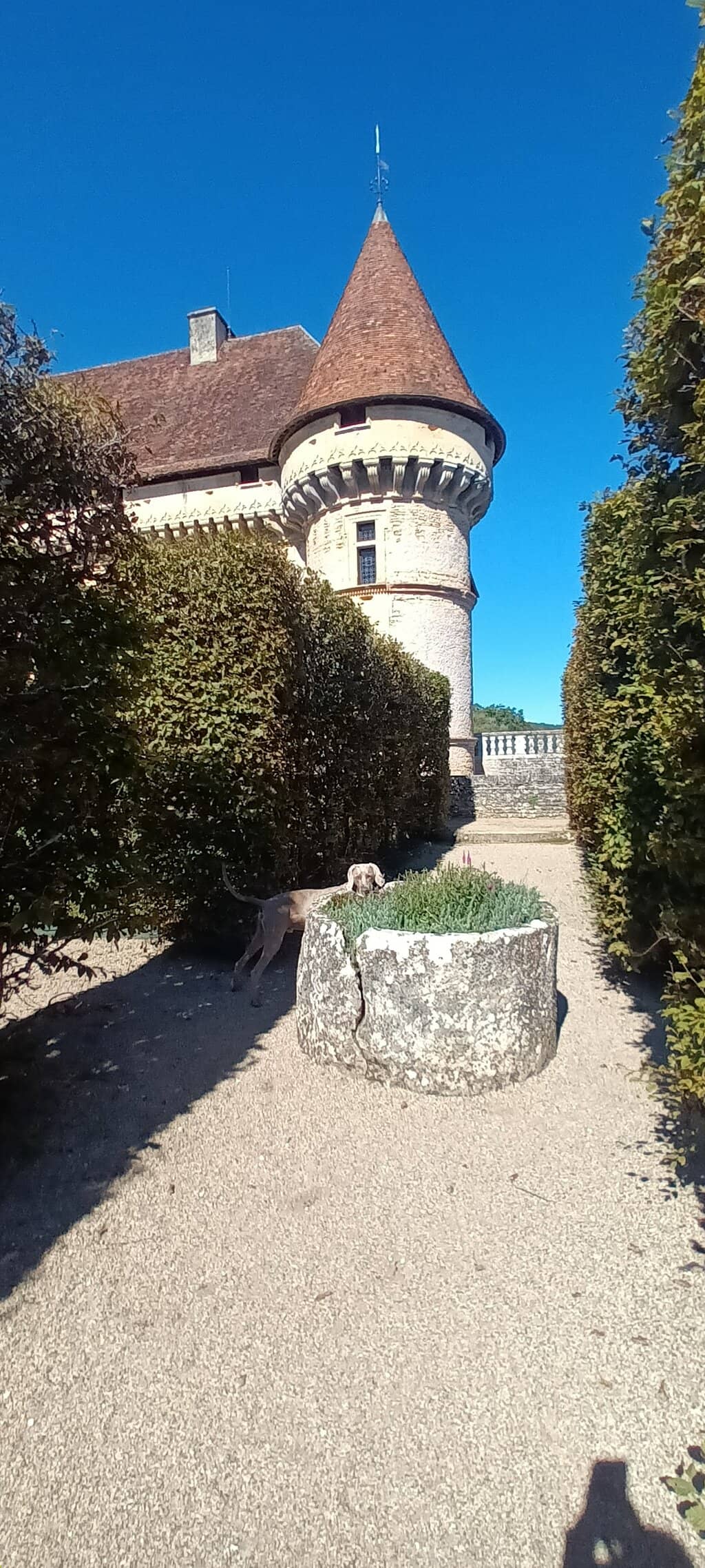 Elegant Gardens