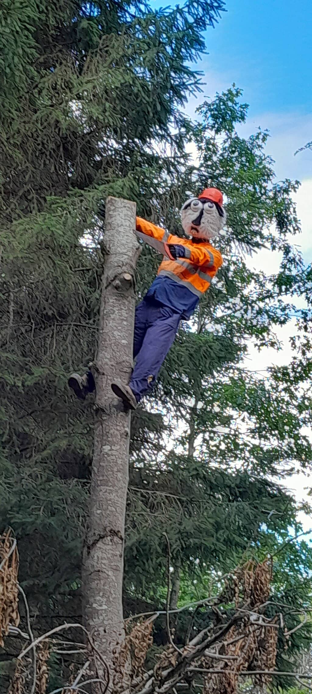 Vertical photo