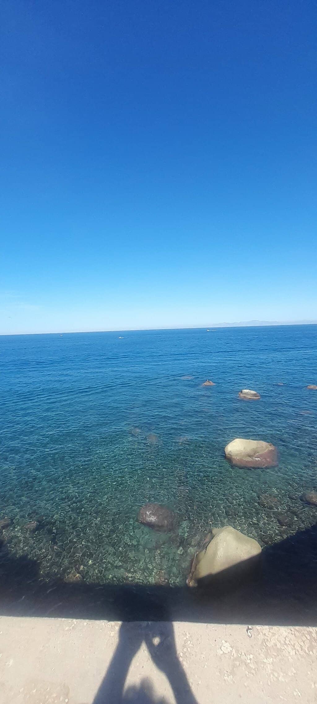 Vertical photo