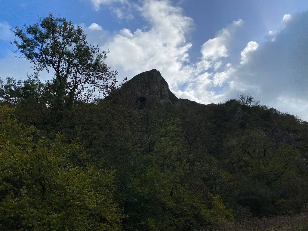 Vertical photo