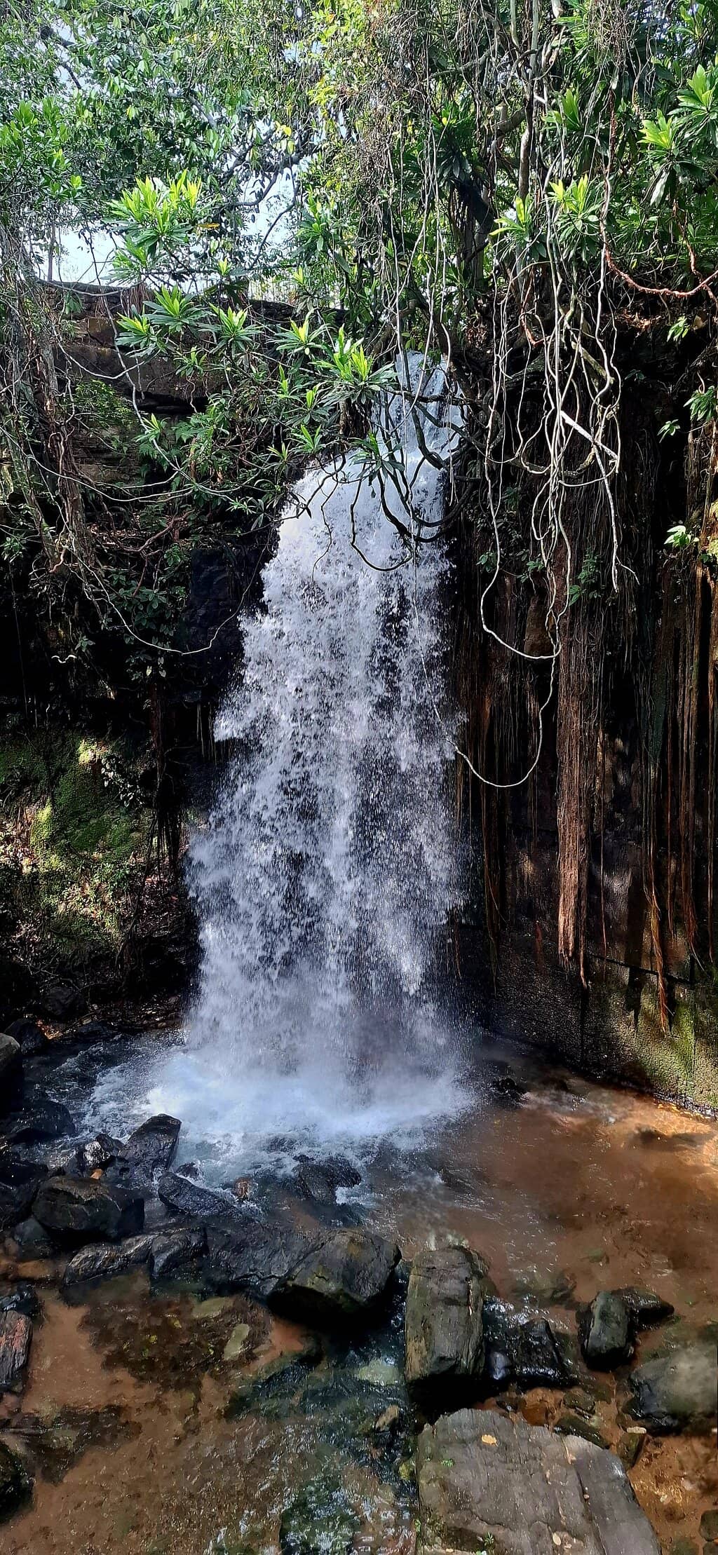 Vertical photo