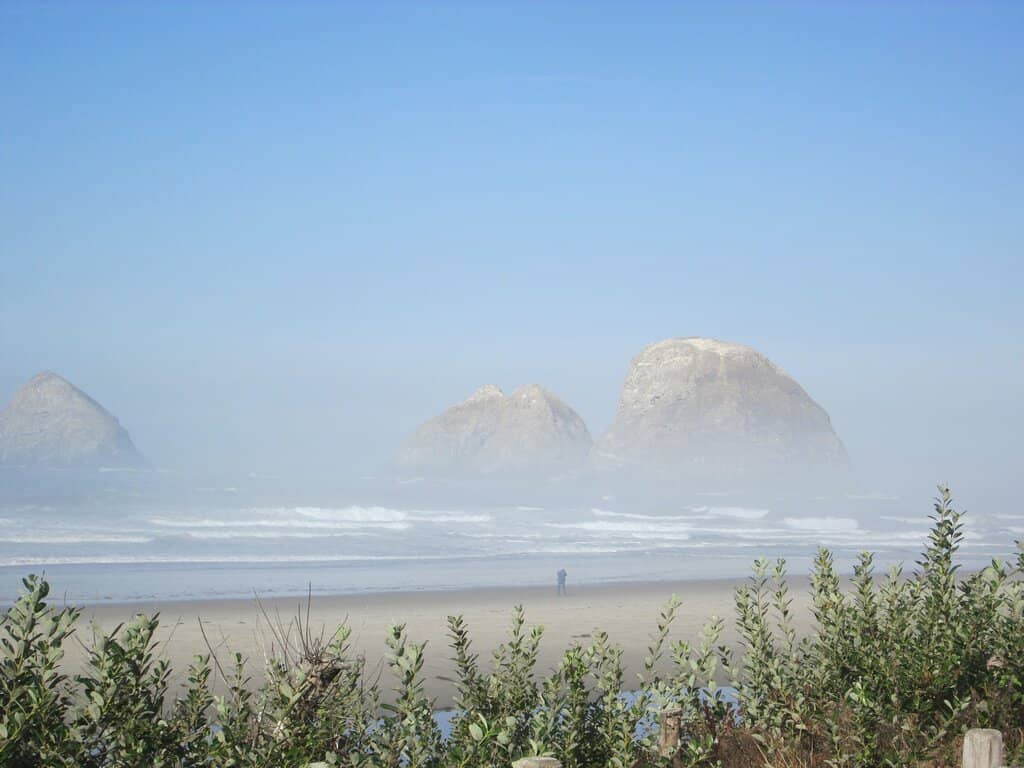 Rockhounding & Tide Pools