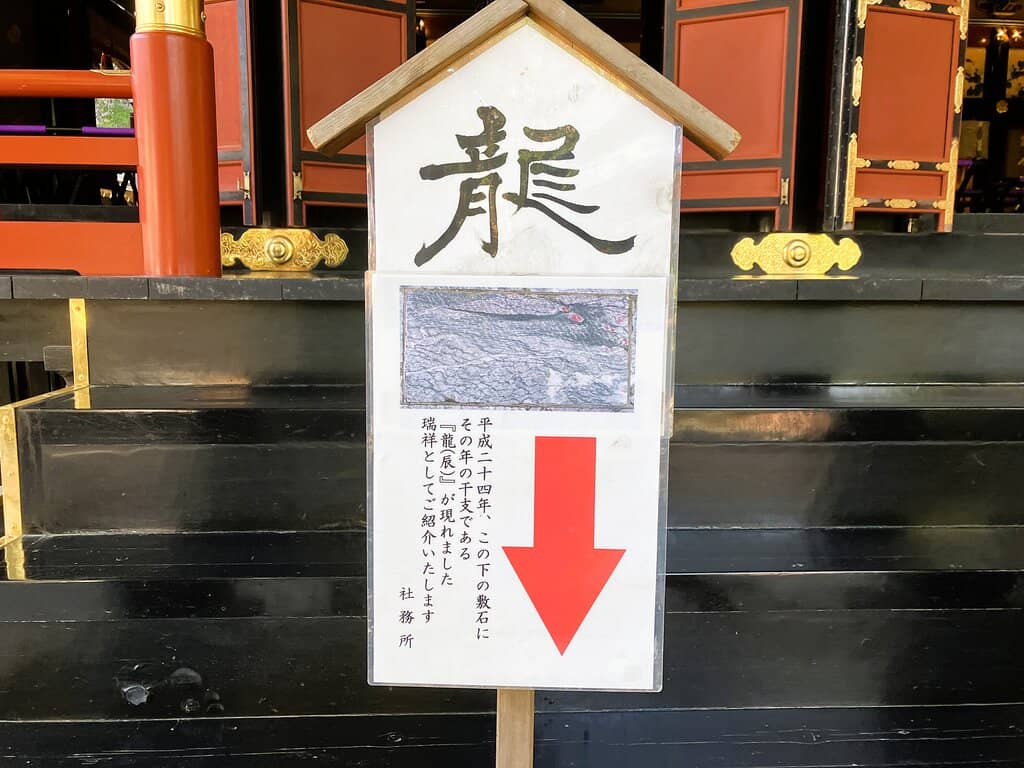 Ancient Trees and Serene Atmosphere