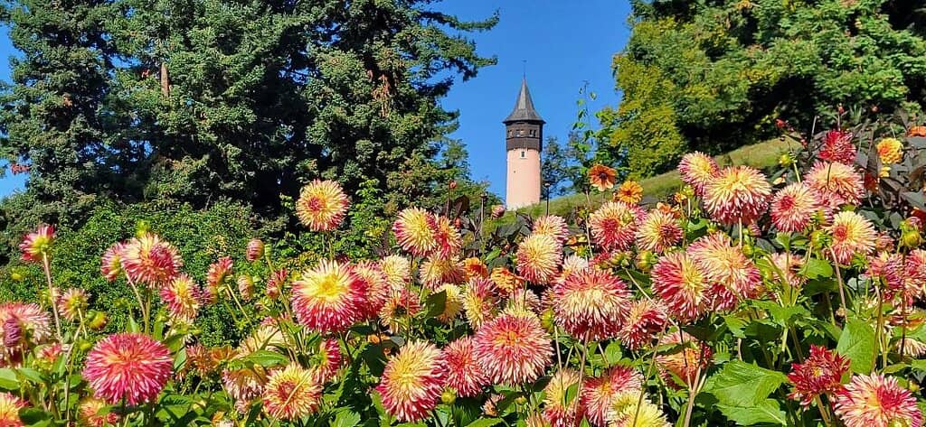 Mainau Castle