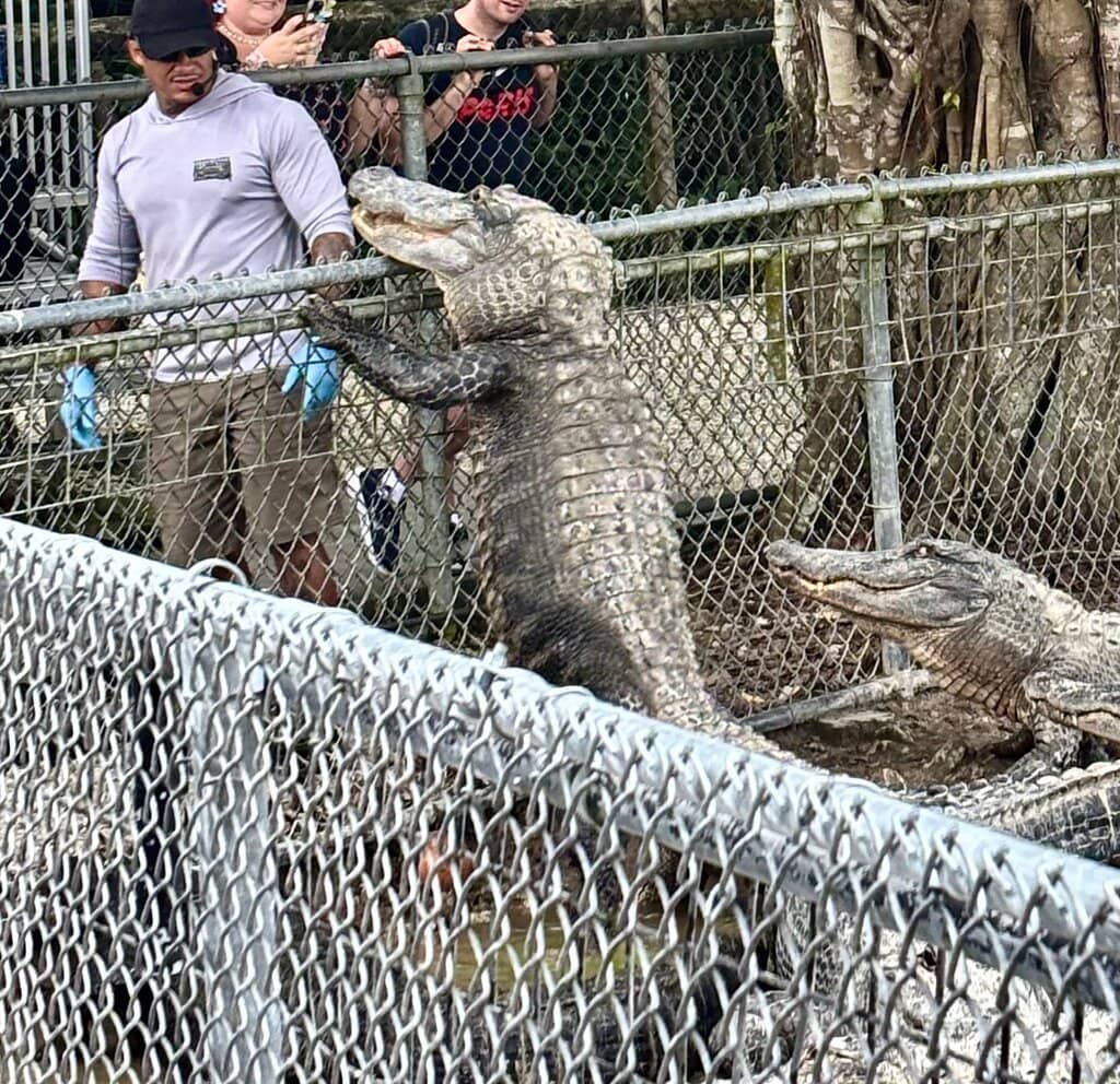 Diverse Reptile Exhibits