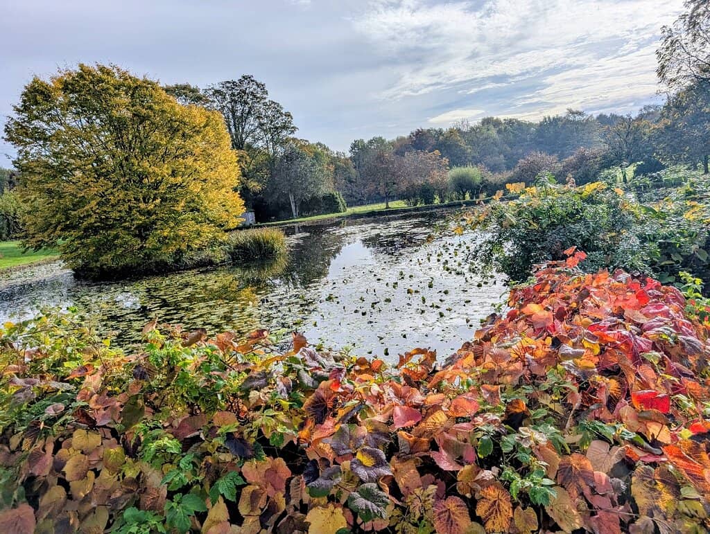 Woodland and Estate Walks
