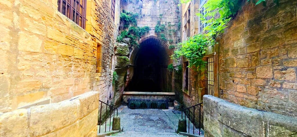 Vertical photo