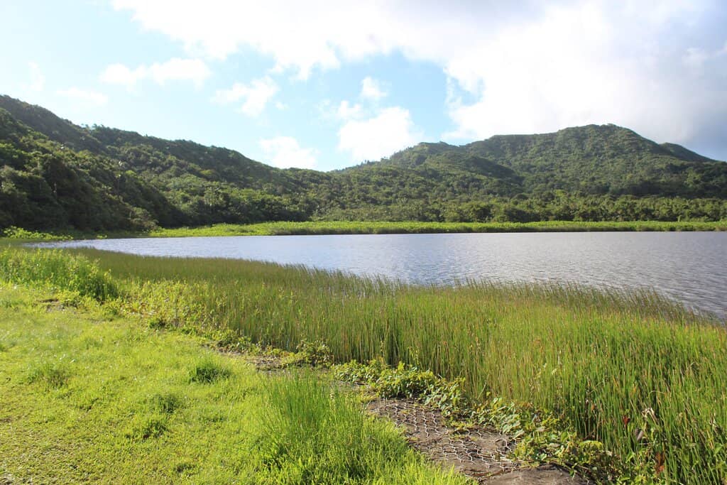 Shoreline Hiking Trails