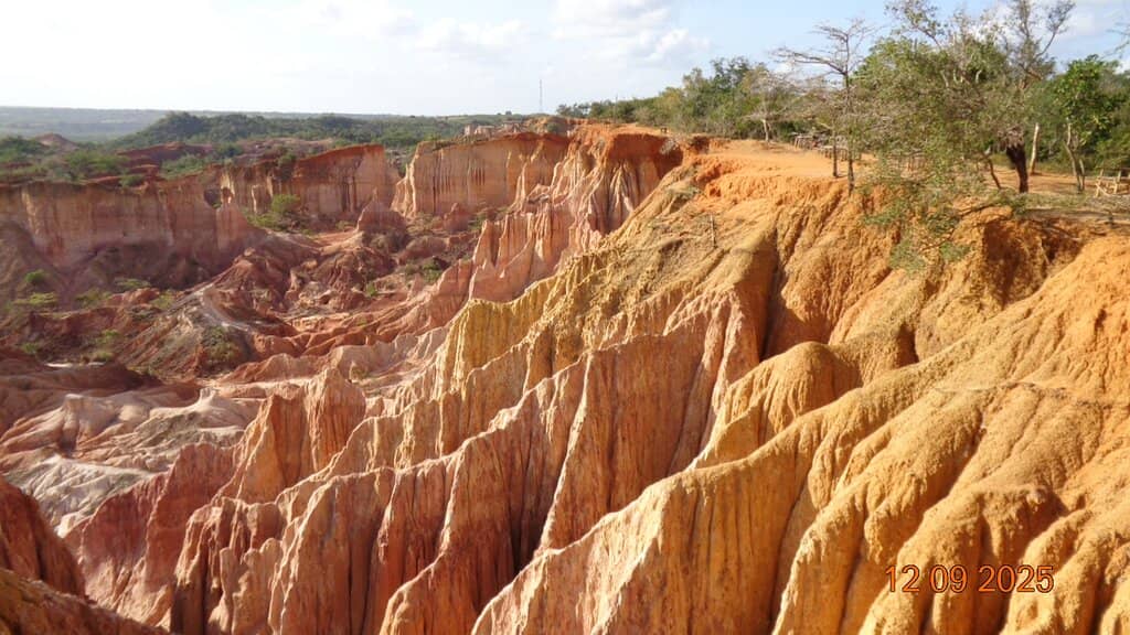 The Striking Sandstone Canyons