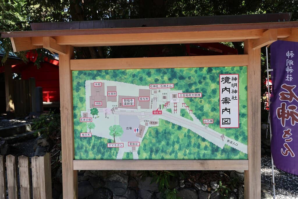 The Sacred 300-Year-Old Tree