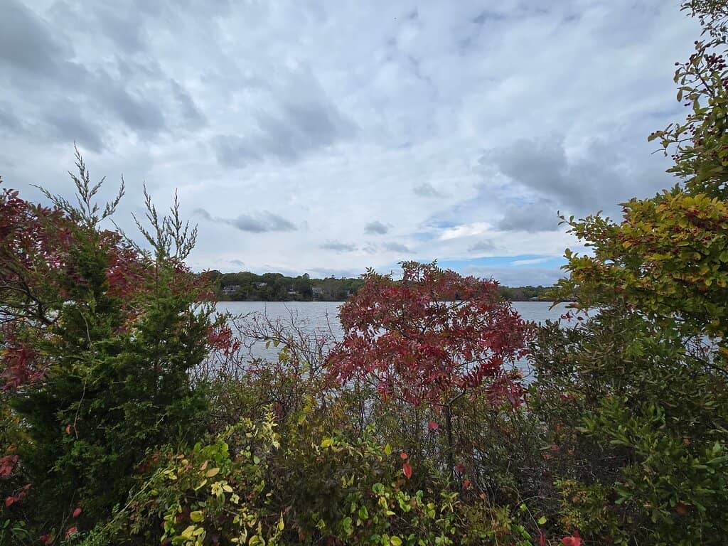 Woods Hole Village Charm