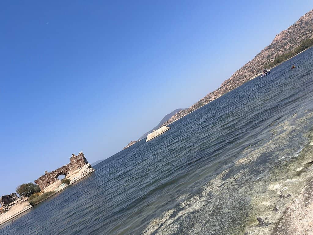 Birdwatching Paradise