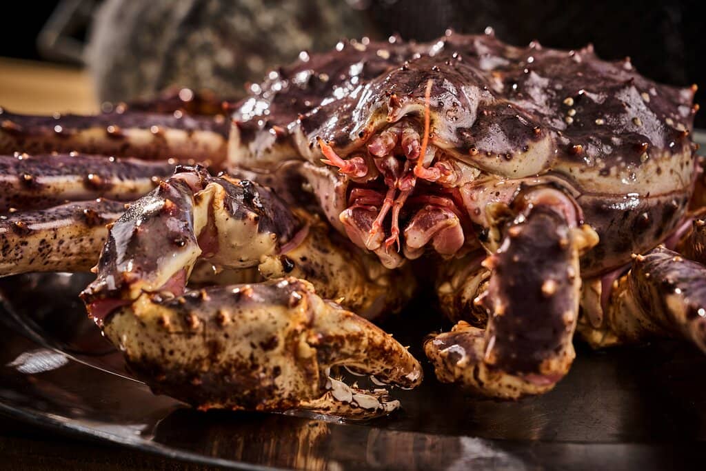 Picturesque Harbor Views