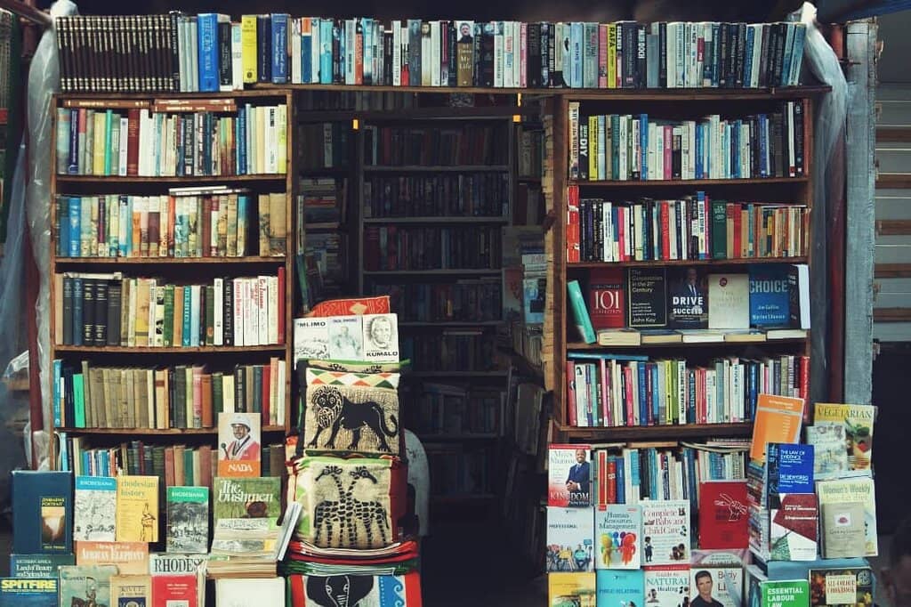 Thrifted Fashion Finds