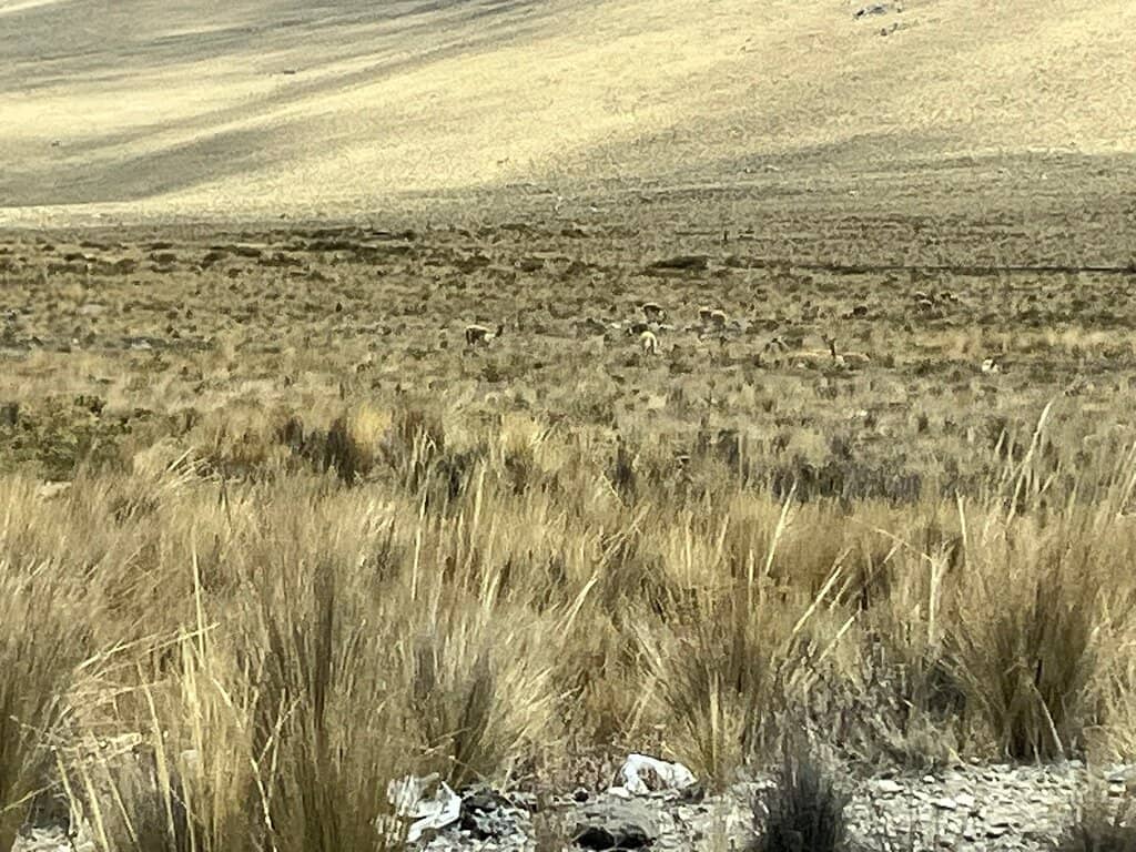Los Pillones Waterfall