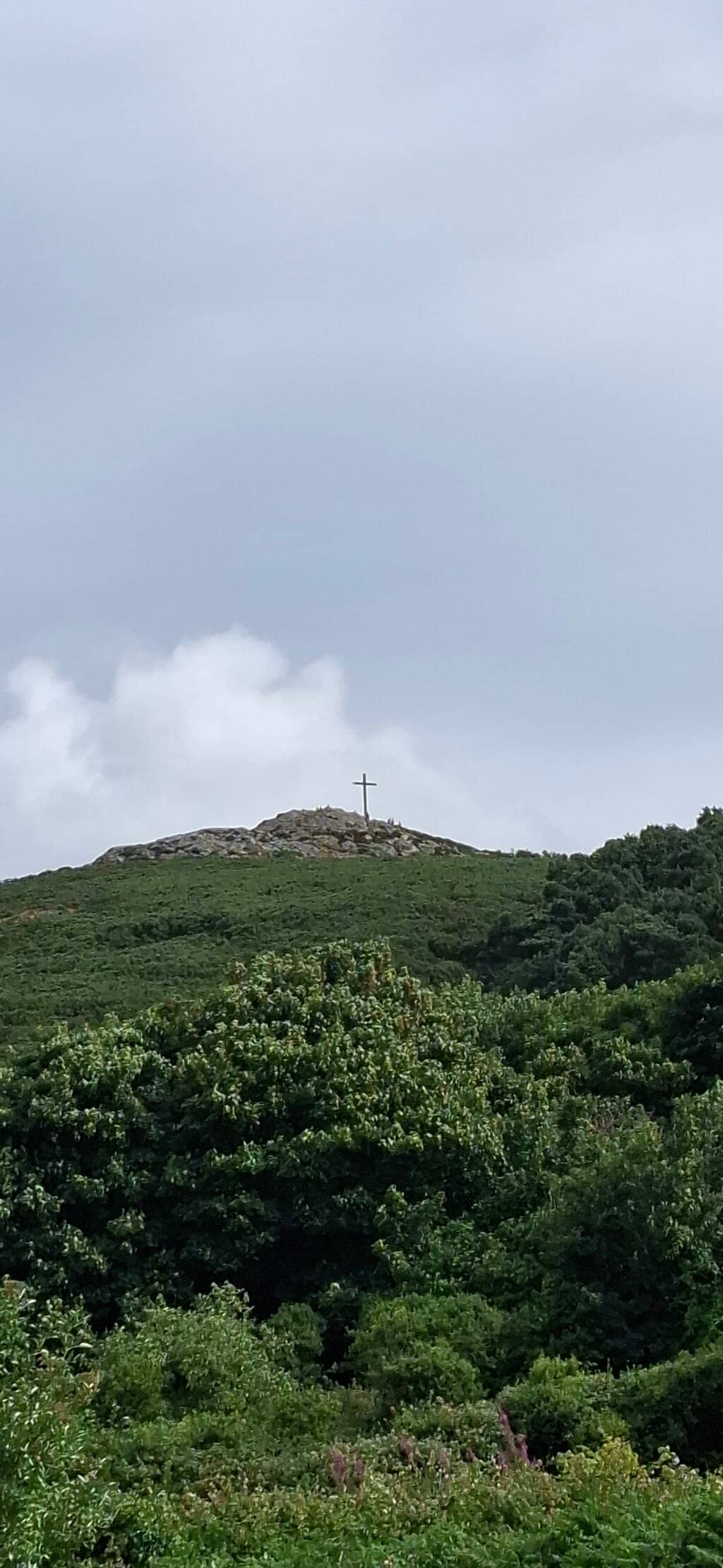 Scenic Seafront Promenade
