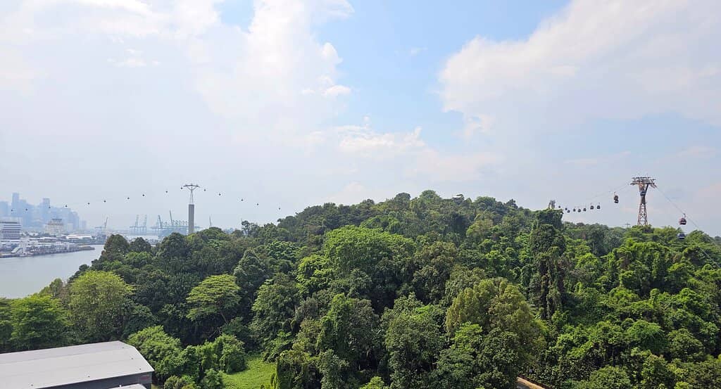 Glass-Bottom Platform Thrills