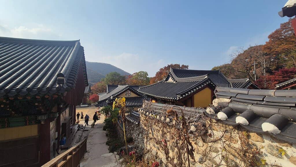 Scenic Walk to the Temple