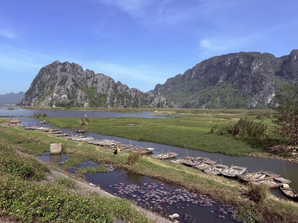 Delacour's Langur Monkeys