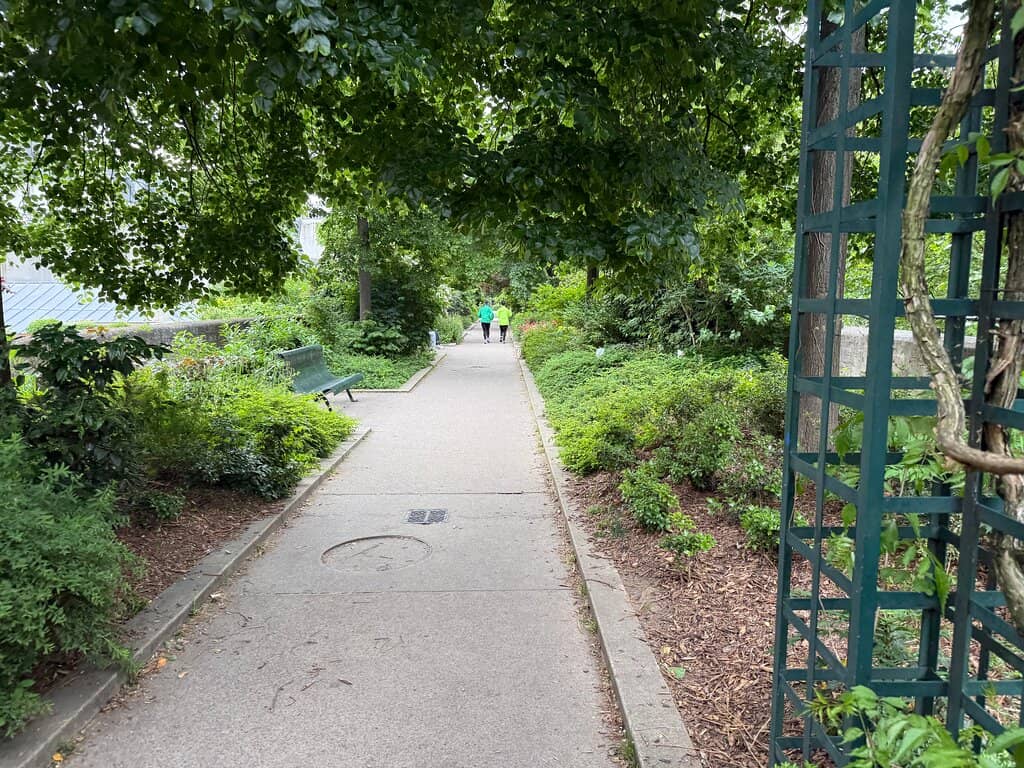 Elevated Greenery