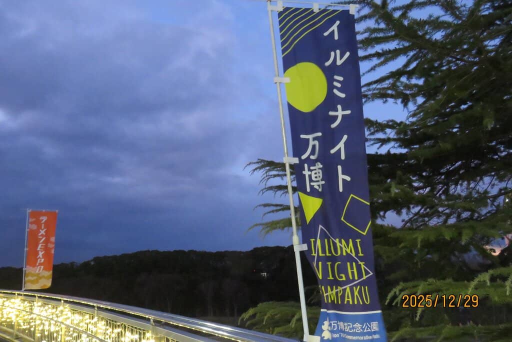 Views of the Tower of the Sun