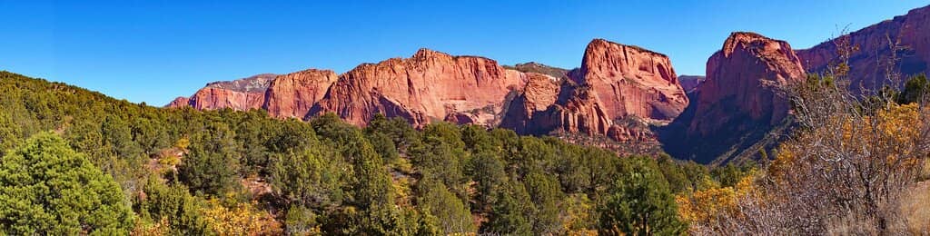 Visitor Center Exhibits