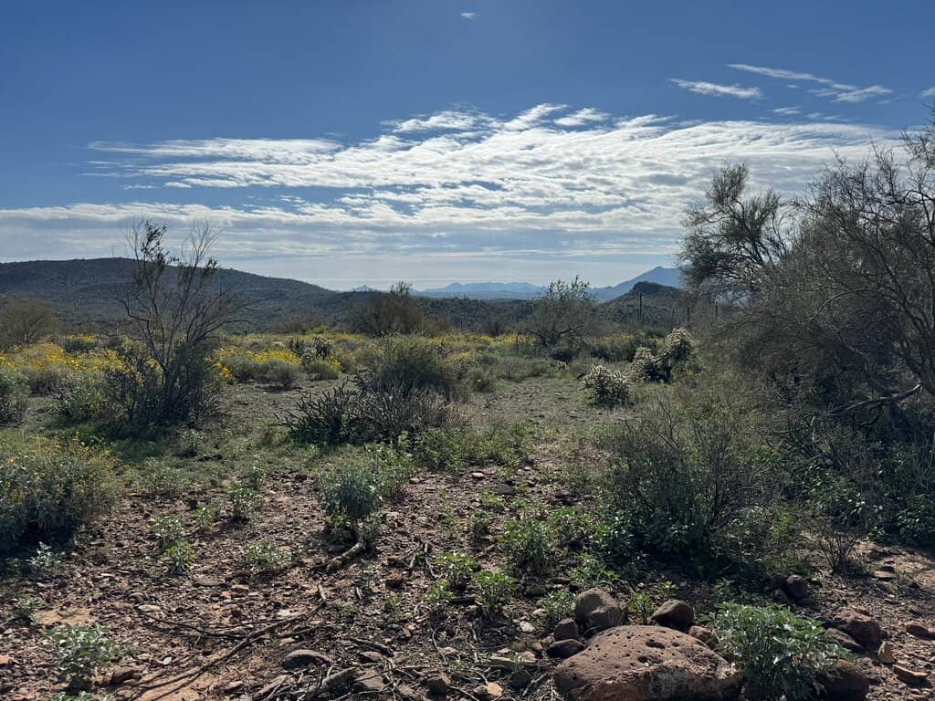 Desert Hiking Trails