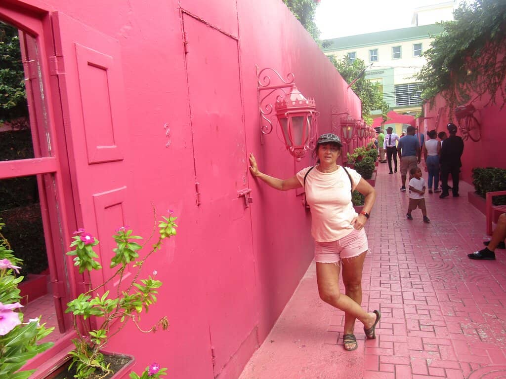 The Pink Alley