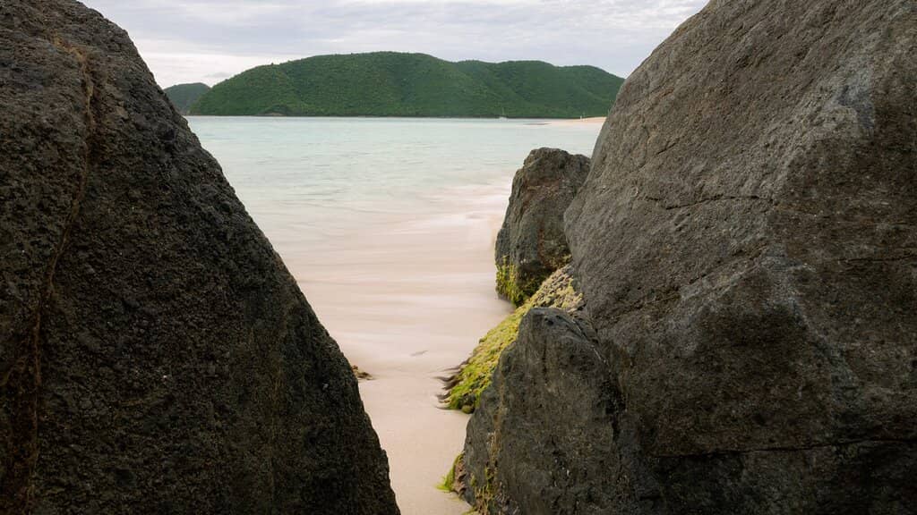 Abundant Marine Life