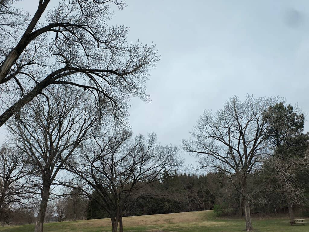 Hidden Hollow's Seclusion