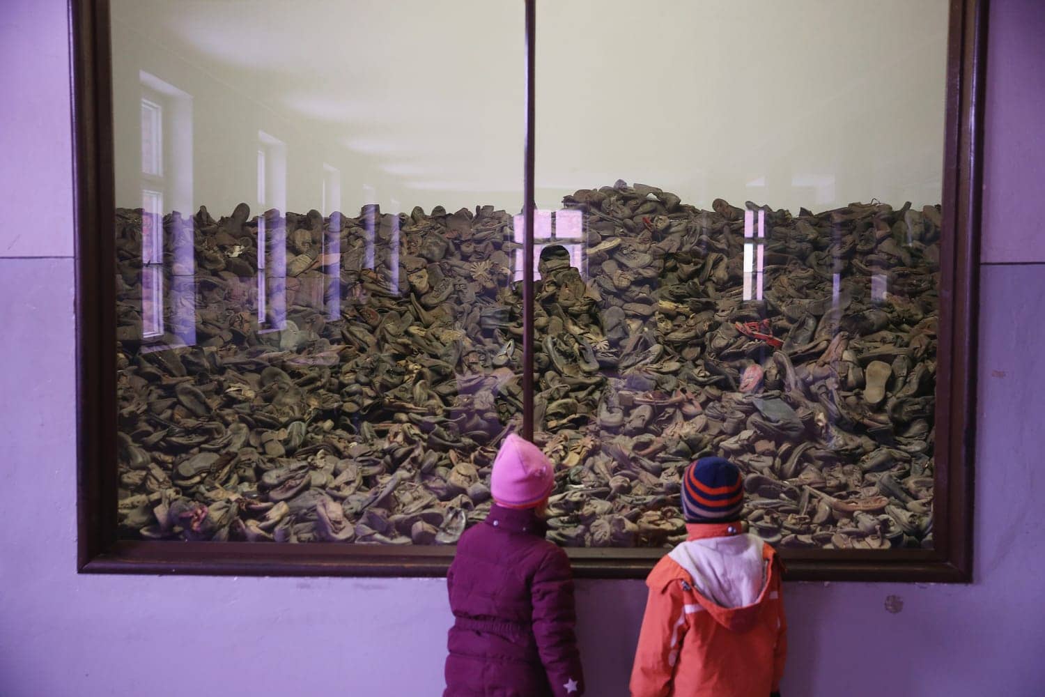 Museum Exhibits