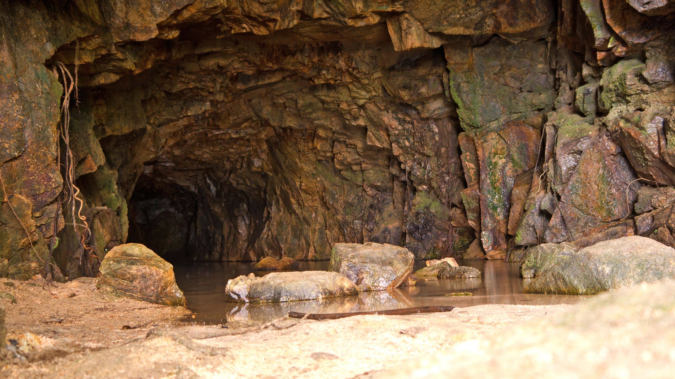 Kamikaze Caves