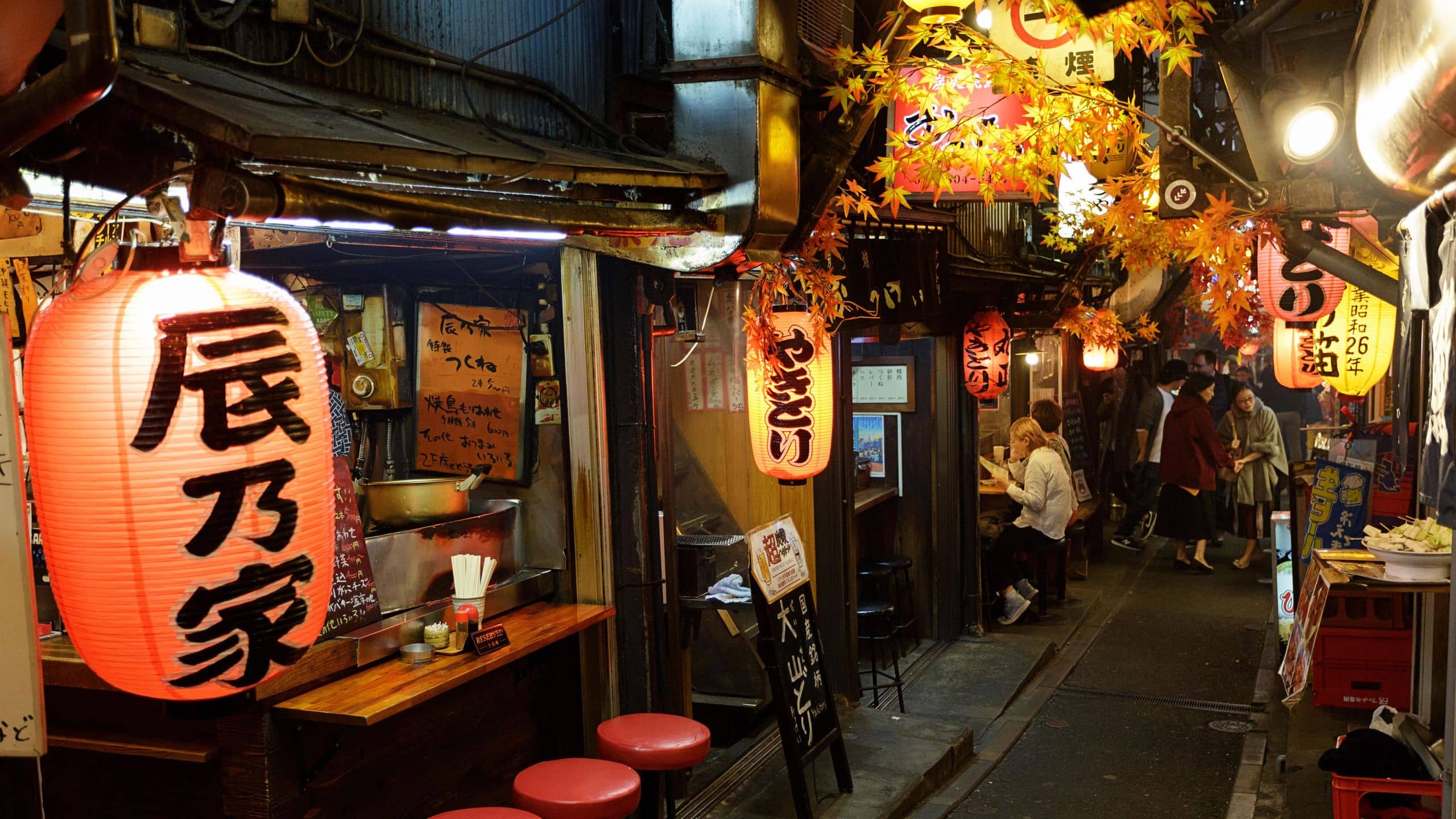 Omoide Yokocho (Memory Lane)